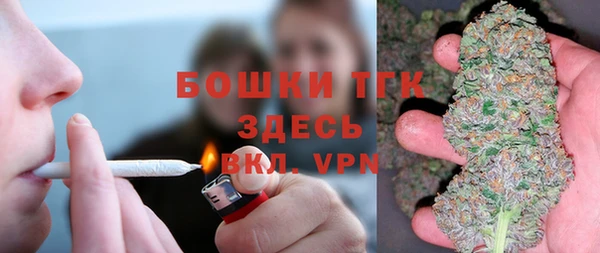 ГАЛЛЮЦИНОГЕННЫЕ ГРИБЫ Арсеньев
