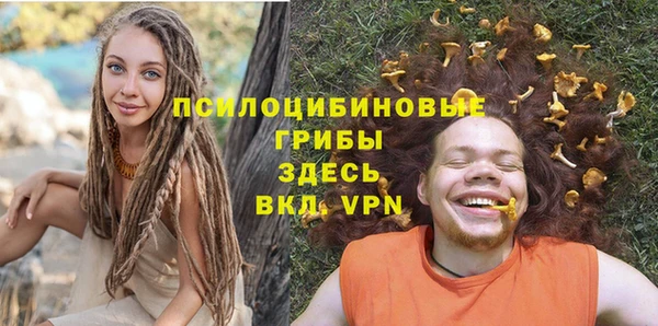 ГАЛЛЮЦИНОГЕННЫЕ ГРИБЫ Арсеньев