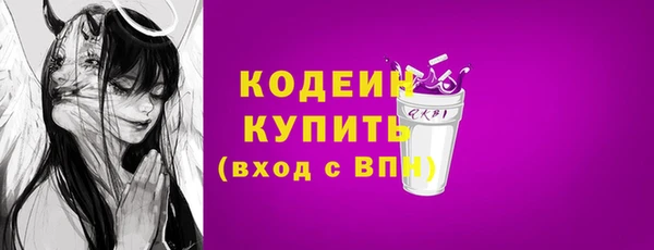 ГАЛЛЮЦИНОГЕННЫЕ ГРИБЫ Арсеньев