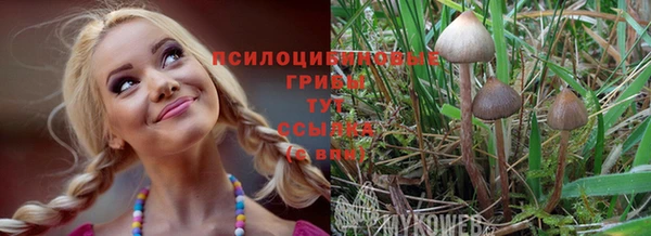 ГАЛЛЮЦИНОГЕННЫЕ ГРИБЫ Арсеньев