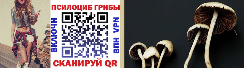 мега ссылка  Пестово  Псилоцибиновые грибы ЛСД 